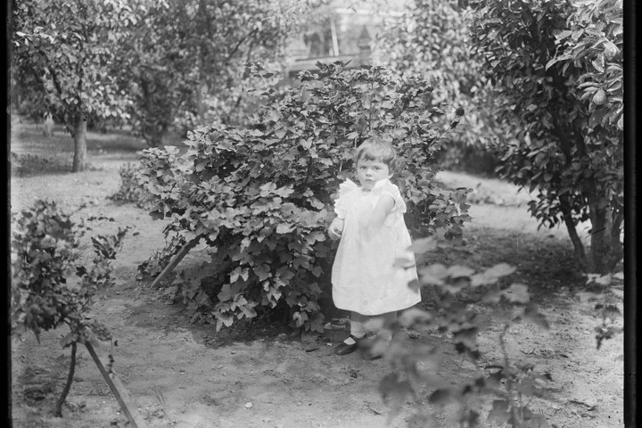 Glasnegatief van een foto van Charles Cupyers (als kind) in de tuin