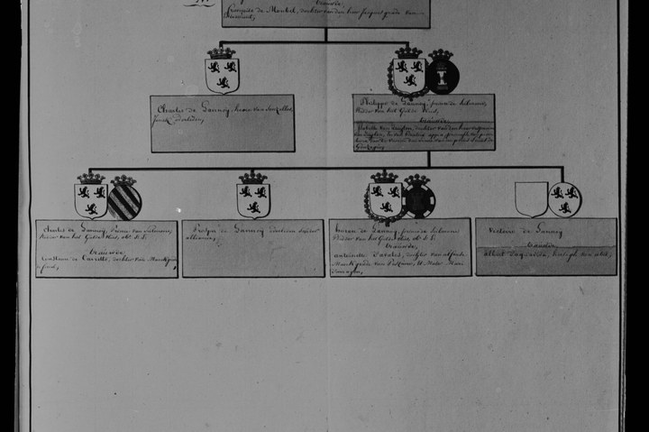 Glasnegatief van foto van producten uit de Cuypers' Kunstwerkplaatsen uit kist met nummer 24: "Afbeelding van een stamboom".