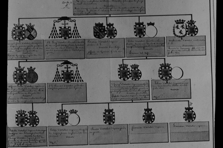 Glasnegatief van foto van producten uit de Cuypers' Kunstwerkplaatsen uit kist met nummer 24: "Afbeelding van een stamboom".